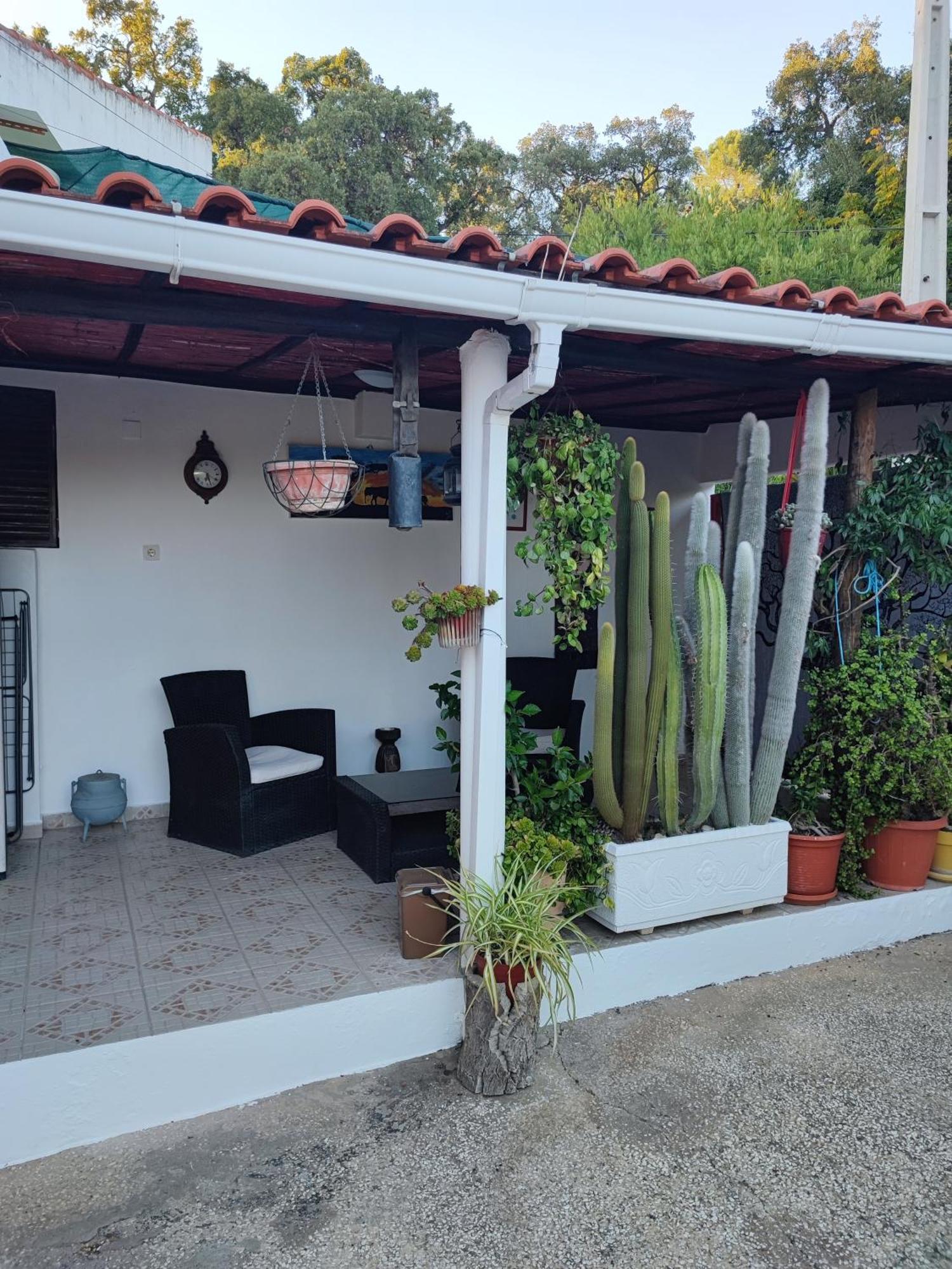 My House - Casa Charme Villa Monchique Kültér fotó